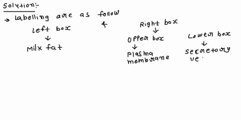 help-save-exit-submit-check-my-wor-correctly-label-the-parts-of-an-exocrine-gland-what-kind-of-gland-is-this-milk-fat-the-ran-secretory-vesicles-apocrine-gland-merocrine-gland-plasma-membran-87134