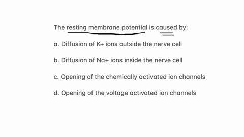 the-resting-membrane-potential-is-caused-by-a-diffusion-of-k-ions-outside-the-nerve-cell-b-diffusion-of-na-ions-inside-the-nerve-cell-c-opening-of-the-chemically-activated-ion-channels-d-ope-51934