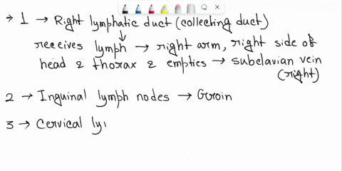 thoxeck-duct-subclawon-brachlocepha-ic-vcln-sen-intercostal-munk-iniestinol-uunk-cisterna-chyll-lumbar-vunt-63n3-anllary-iymph-nodcs-cervical-iymph-nodes-inguinal-iymph-nodes-jugular-vein-nt-74514