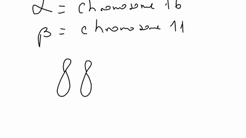 adult-hemoglobin-is-a-multimeric-protein-with-four-polypeptides-two-of-which-are-alpha-globin-and-tw-95576