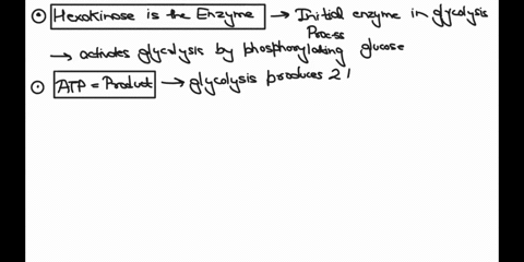 hexokinase-catalyzes-the-phosphorylation-of-glucose-using-atp-to-form-a-molecule-of-glucose-6-phosphate-this-is-the-first-step-of-glycolysis-in-the-cytoplasm-of-animal-cells-in-this-reaction-46744
