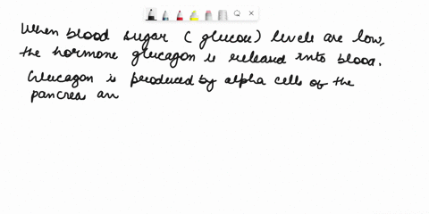 assume-that-a-single-ipsp-inhibitory-postsynaptic-potential-has-a-negative-magnitude-of-05mv-at-the-axon-hillock-and-that-a-single-epsp-excitatory-postsynaptic-potential-has-a-positive-magni-80482