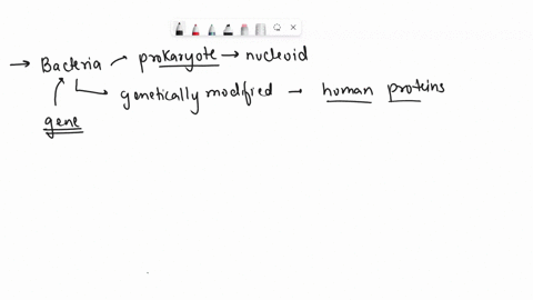 human-proteins-such-as-insulin-can-be-produced-by-bacterial-cells-this-is-possible-because-_____-all-organisms-have-the-same-types-of-cells-recently-researchers-have-produced-a-totally-synth-74735