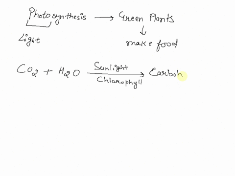 which-substances-are-produced-during-photosynthesis-in-plants-carbon-dioxide-oxygen-carbohydrates-water-chloroplasts-97929