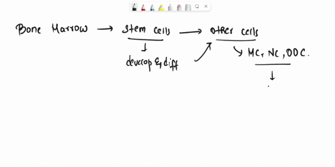 how-are-stem-cells-currently-being-used-in-the-laboratory-65685