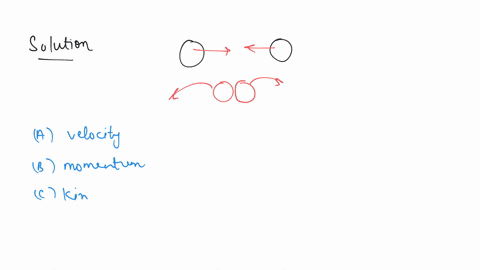 two-bodies-collide-at-the-same-time-which-of-the-following-is-conserved-a-velocity-c-momentum-b-kinetic-energy-d-force