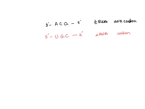 trna-has-and-anticodon-3-acg-5-what-amino-acid-would-it-carry-second-mrna-base-a-uuu-ucu-uau-ugu-u-phe-tyr-cys-uuc-ucc-uac-ugc-c-ser-uua-uca-uaa-stop-uga-stop-a-leu-uug-ucg-uag-stop-ugg-trp-62219