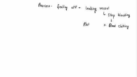 how-is-the-leakage-of-blood-from-vessels-is-prevented-84728
