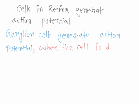 question-6-which-cells-in-the-retina-generate-action-potentials-rods-bipolar-cells-cones-horizontal-cells-ganglion-cells-41977
