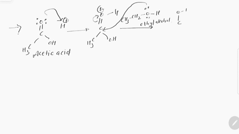 using-curved-arrow-notation-write-the-mechanism-of-this-reactionethyl-alchol-acetic-acid-ethyl-acetate-92576