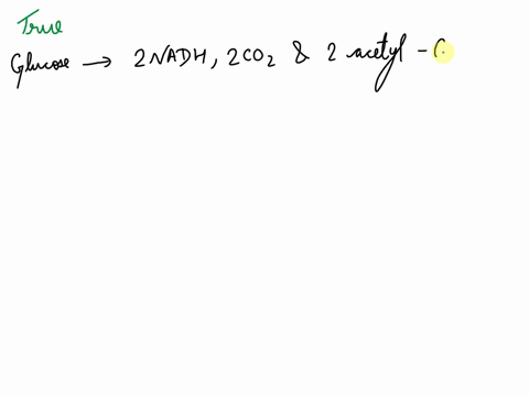 per-one-molecule-of-glucose-the-products-of-pyruvate-oxidation-are-two-nadh-two-coz-and-two-acetyl-coa-select-one-0-true-0-false-95082