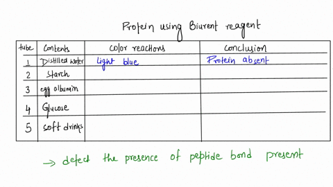 table-test-for-protein-using-biuret-reagent-color-reaction-conclusion-tube-contents-distilled-water-starch-egg-albumin-glucose-soft-drinks-2-explain-your-results-do-glucose-soft-drink-and-st-38754