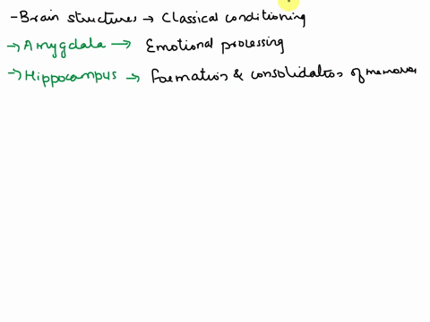 list-the-various-brain-structures-involved-in-classical-conditioning-and-describe-their-various-roles-43586