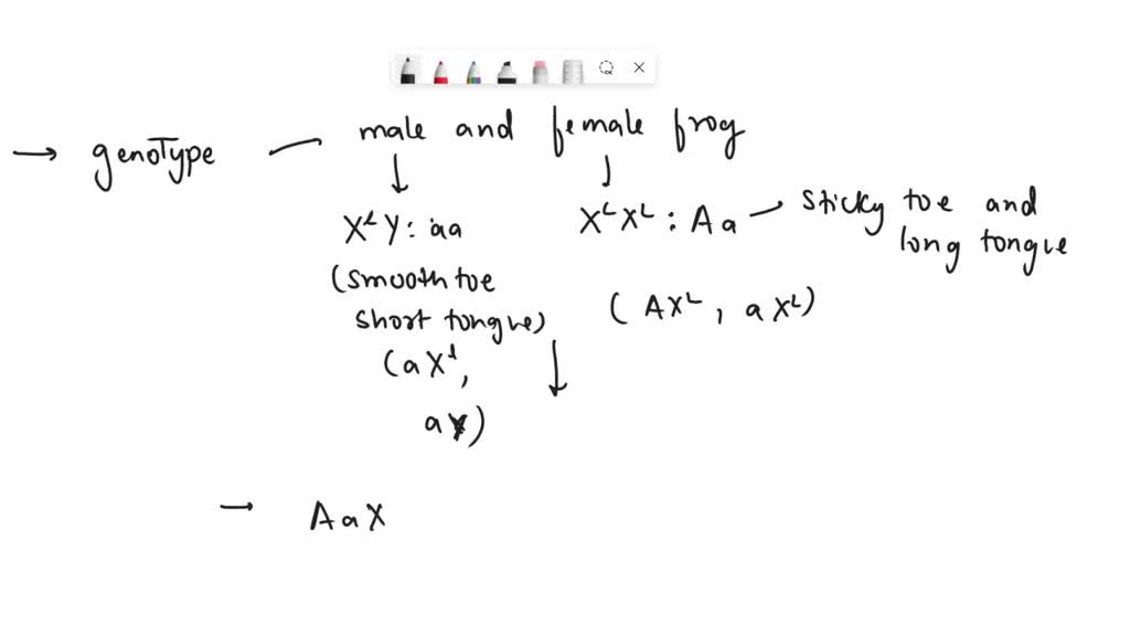 SOLVED You cross a female frog with sticky toe pads (A) and a long