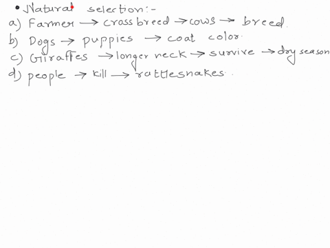 which-of-these-scenarios-is-an-example-of-natural-selection-afarmers-crossbreed-two-types-of-cows-to-produce-a-breed-of-cow-that-has-high-quality-beef-and-can-tolerate-a-hot-climate-bdogs-th-87035
