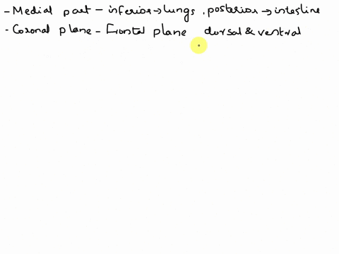 name-a-structure-that-is-in-the-medial-part-of-the-body-located-inferior-to-the-lungs-and-posterior-to-the-intestines-note-coronal-section-would-contain-this-structure-and-the-heart-and-it-i-81056