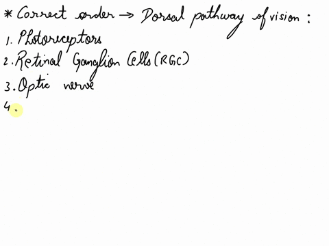 fill-in-the-blanks-of-the-parts-of-the-dorsal-pathway-of-vision-in-order-of-processing-using-the-word-bank-v1-v2-v3-v4-v-lgn-rgc-superior-colliculus-inferotemporal-kc-cortex-la-i1photorecept-52423