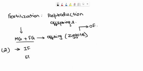 why-external-fertilization-is-disadvantage-to-animals-when-compared-to-internal-fertilisation-42037