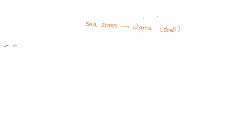 open-ended-sea-stars-eat-clams-by-pulling-apart-the-two-halves-of-a-clams-shell-discuss-how-this-cou-50592
