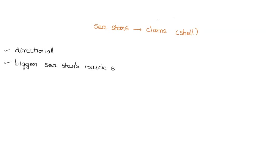 SOLVED Open Ended Sea stars eat clams by pulling apart the two halves