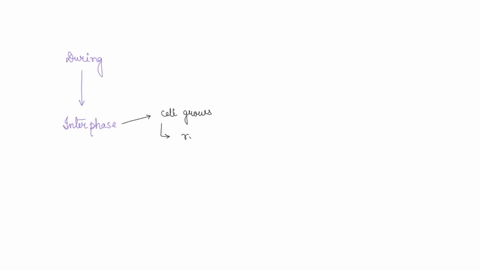 the-cell-cycle-consists-of-three-major-stages-interphase-nuclear-division-and-cytokinesis-which-pairs-of-events-both-occur-during-interphase-the-cells-dna-divides-in-half-and-its-cytoplasm-d-06664