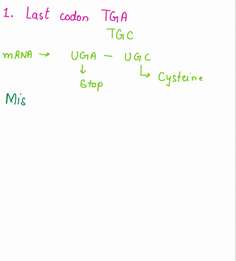 coding-strand-atgtgtagtgcgagttga1-if-the-last-base-in-the-underlined-sequence-next-to-last-codon-agt-was-changed-by-mutation-to-a-c-how-would-the-protein-be-changed-how-would-you-classify-th-46283
