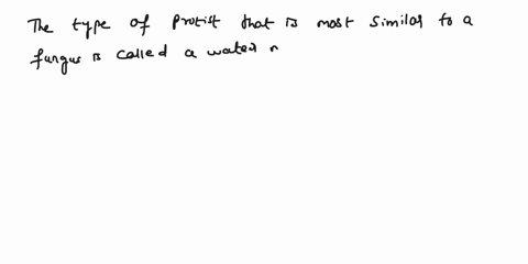 which-type-of-protist-is-most-like-a-fungus-85374