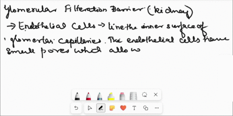 what-are-the-major-structures-comprising-the-filtration-membrane-60181