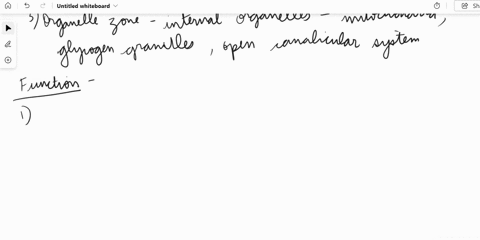 describe-the-structure-and-function-of-platelets-and-explain-the-process-of-hemostasiswhat-mechanisms-are-involved-in-the-neural-regulation-of-vascular-homeostasis-13explain-the-significance-96784