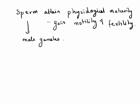 the-sperms-undergo-physiological-maturation-acquiring-increased-motility-and-fertilising-capacity-in-a-seminiferous-tubules-b-vasa-efferentia-c-epididymis-d-vagina-76203