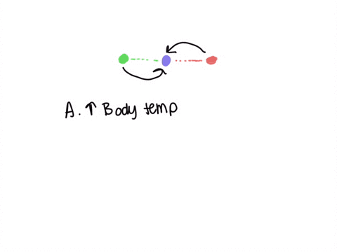 which-example-best-describes-a-homeostatic-control-system-body-temperature-increases-during-exercise-motility-in-the-digestive-tract-increases-following-a-meal-red-blood-cells-do-not-pass-th-51413