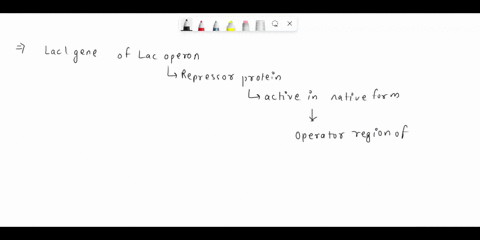 what-is-the-function-of-the-repressor-in-the-e-coli-lac-operon-a-a-repressor-is-a-type-of-dna-sequence-that-is-located-outside-the-lac-operon-and-expresses-the-protein-that-controls-lactose-58623