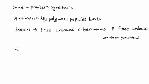 which-is-true-concerning-protein-synthesis-a-proteins-can-begin-to-fold-before-their-synthesis-is-complete-b-proteins-can-be-made-from-either-c-terminus-to-n-terminus-or-vice-versa-c-protein-11436