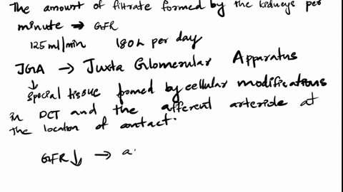 14_-glomerular-filtration-rate-gfr-is-the-rate-at-which-filtrate-and-therefore-urine-is-produced-your-blood-pressure-varies-on-daily-basis-for-variety-of-reasons_-and-this-affects-gfr-high-b-61157