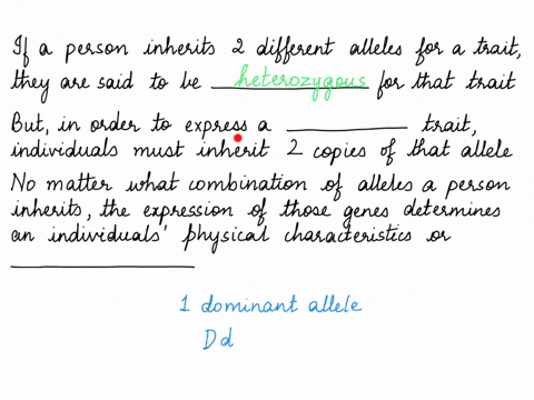 if-a-person-inherits-two-different-alleles-for-a-trait-they-are-said-to-be_______-for-that-trait-but-in-order-to-express-a-______-trait-individuals-must-inherit-two-copies-of-that-allele-no-44077