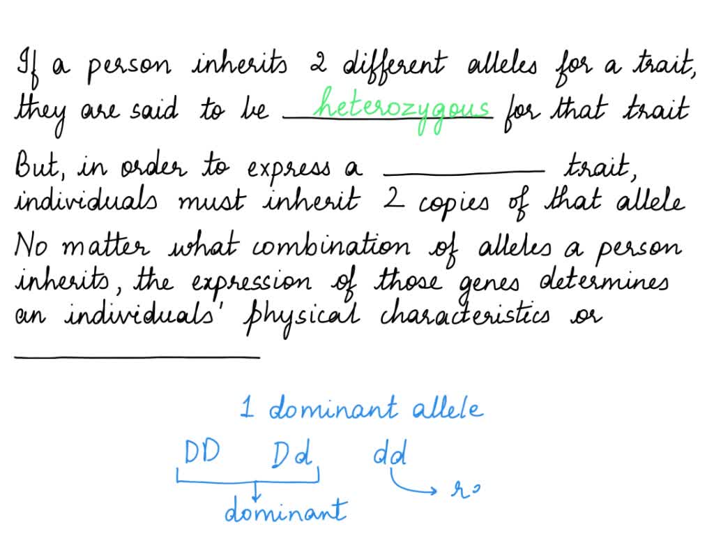 solved-when-an-organism-has-one-dominant-allele-and-one-recessive