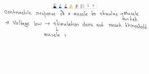 exercise-1-twitch-recruitment-1-as-you-increase-voltage-to-the-muscle-describe-how-it-responds-to-the-increased-stimulus2-what-was-the-smallest-voltage-required-to-produce-a-contraction-the-53027