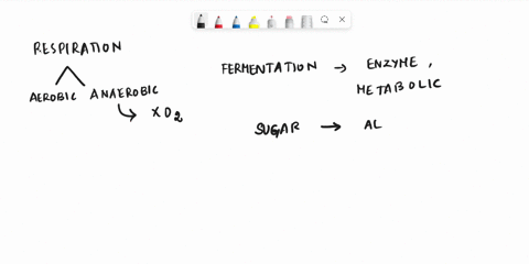 what-is-the-main-purpose-of-fermentation-produce-atp-produce-coz-make-mitochondria-recycle-electron-carriers-92246