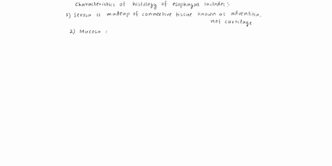 select-all-of-the-following-that-are-characteristics-of-the-histology-of-esophagus-the-serosa-is-made-of-cartilage-the-two-layers-of-muscle-in-the-superior-one-third-of-the-muscularis-are-sk-83504