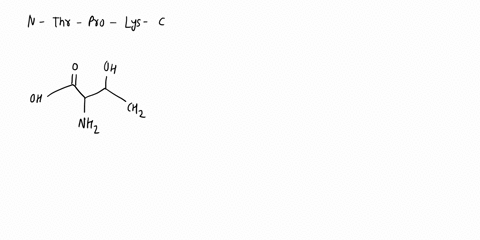 when-amino-acids-link-together-by-amide-bonds-peptides-are-formed-give-the-structure-of-the-following-three-amino-acid-peptide-with-the-n-terminus-or-amino-terminus-on-the-left-and-the-c-ter-39505