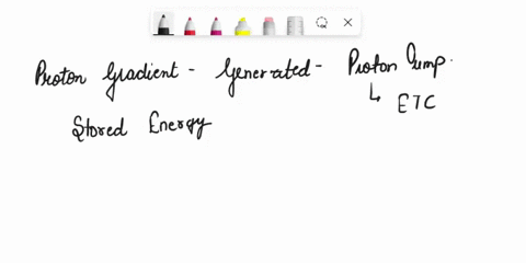 which-of-the-following-statements-about-mitochondria-isare-true-select-one-a-the-electron-transport-chain-removes-ectrons-from-nadh-and-pumps-protons-outside-the-inner-membrane-creating-grad-56399