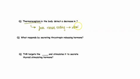 accurately-complete-the-sentences-on-the-right-and-cach-word-phrase-form-the-left-to-click-drag-thermoreceplors-ihe-body-celect-decrease-anterior-pituitary-gand-growh-hormonc-responds-by-sec-15072