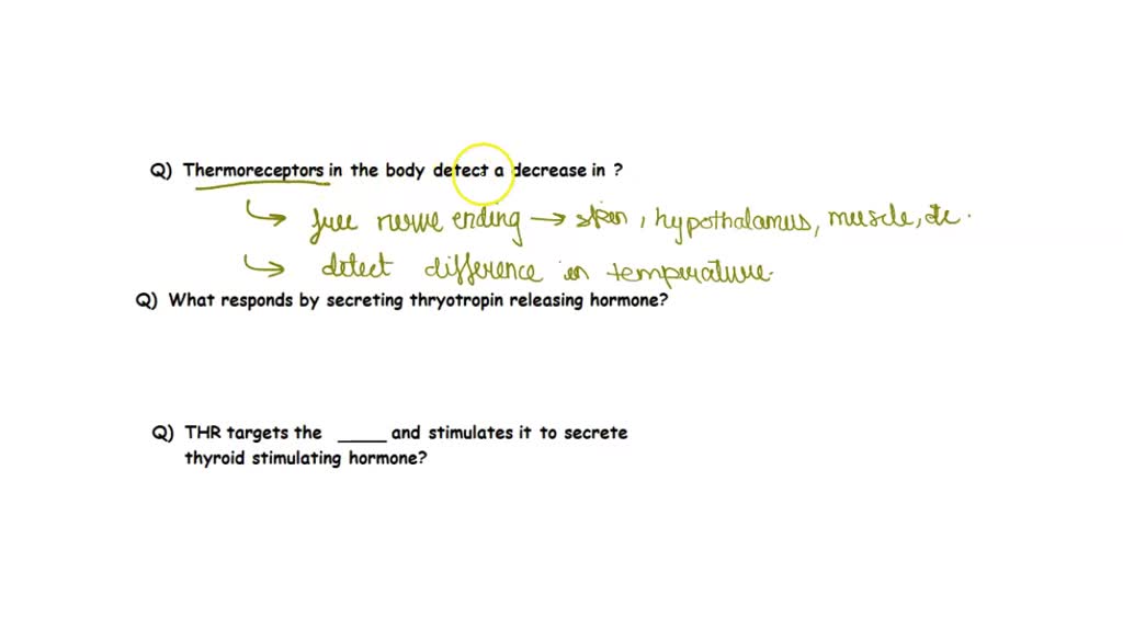 SOLVED Text Accurately complete the sentences on the right and each