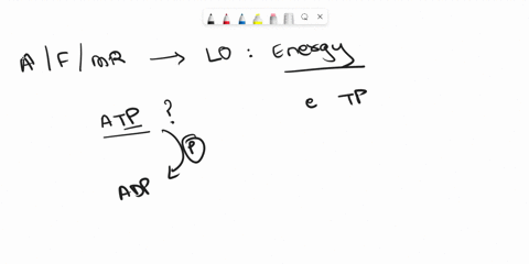 atp-is-exported-from-mitochondria-in-exchange-for-______-and-atp-transport-diminishes-the-proton-gradient-by-______-protons-per-atp-molecule-inorganic-phosphate-2-amp-1-adp-2-adp-1-inorganic-86027