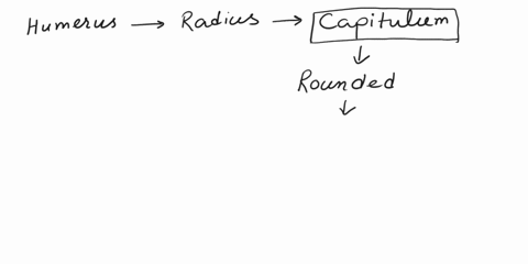 which-region-of-the-humerus-articulates-with-the-radius-as-part-of-the-elbow-joint-a-trochlea-b-styloid-process-c-capitulum-d-olecranon-process-63227