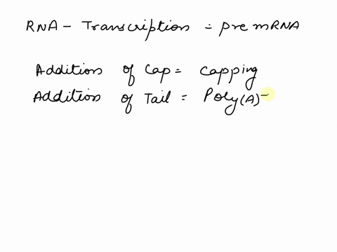 which-of-the-following-is-true-a-in-eukaryotes-mature-mrnas-typically-have-introns-a-5-cap-and-a-polya-tail-b-before-a-prokaryotic-mrna-can-be-translated-it-must-be-modified-by-the-addition-56032