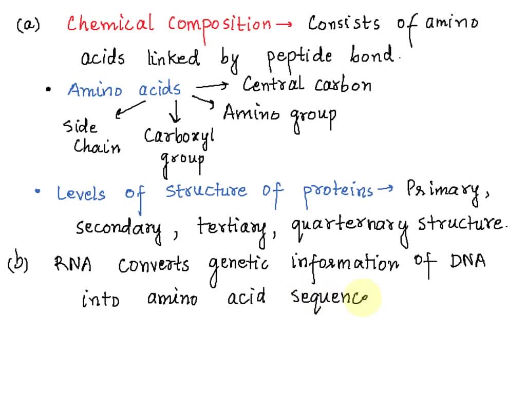 Solved proteins large complex molecules are major building blocks of