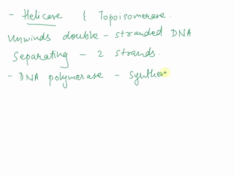 describe-the-roles-of-helicase-and-topoisomerase-in-dna-replication-44928