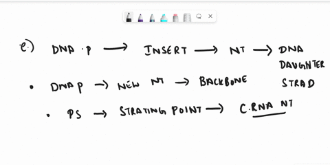 explain-how-the-dna-polymerase-is-able-to-insert-the-correct-nucleotide-each-time-it-adds-to-the-dna-daughter-strand-highlight-answer-if-dna-polymerase-does-add-an-incorrect-nucleotide-what-08658
