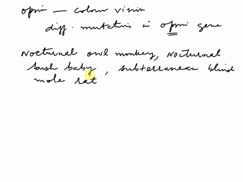 opsin-proteins-detect-light-in-photoreceptor-cells-of-the-eye-and-are-required-for-color-vision-the-92496